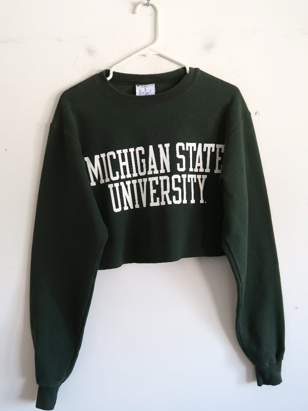 Champion Michigan State University Crop Sweatshirt - Size Small
